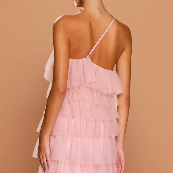 Sonya Moda Ravenna Tulle Maxi Gown Size 6 Pink NWT - Picture 5 of 13